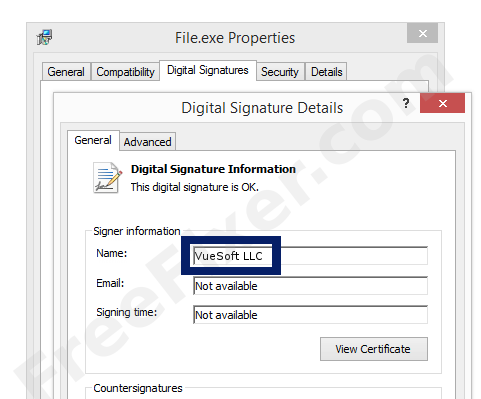 Screenshot of the VueSoft LLC certificate